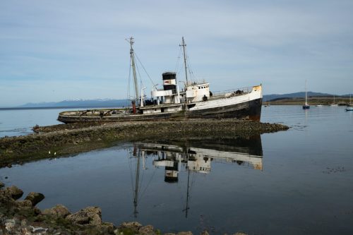 2025 Patagonien 02 Ushuaia Kristin Sporbeck DSC 8996