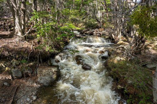 2025 Patagonien 03 Australis Kristin Sporbeck DSC 9219