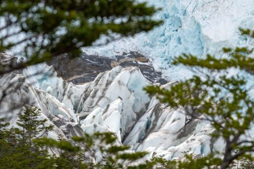 2025 Patagonien 03 Australis Kristin Sporbeck DSC 9334