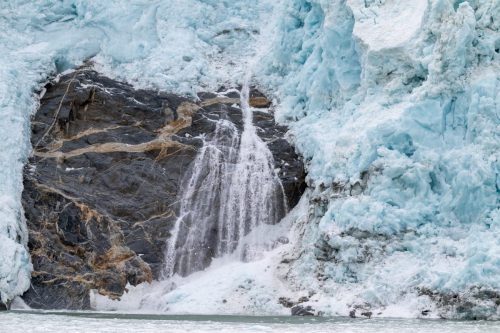 2025 Patagonien 03 Australis Kristin Sporbeck DSC 9384
