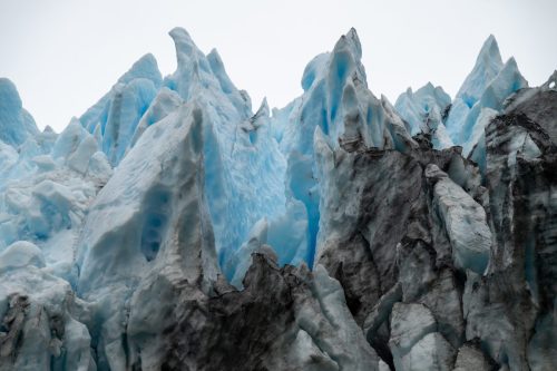 2025 Patagonien 03 Australis Kristin Sporbeck DSC 9575