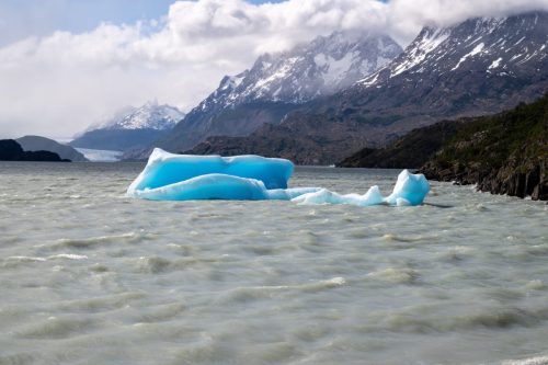 2025 Patagonien 04a Puerto Natales und Torres del Paine Kristin Sporbeck DSC 9920
