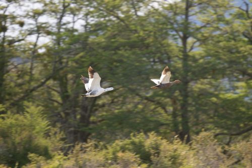 2025 Patagonien 05 Torres del Paine Kristin Sporbeck DSC 0144