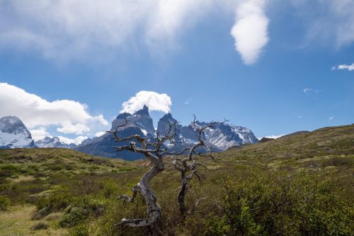 2025 Patagonien 05 Torres del Paine Kristin Sporbeck DSC 0224