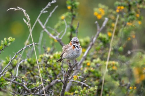 2025 Patagonien 05 Torres del Paine Kristin Sporbeck DSC 0619