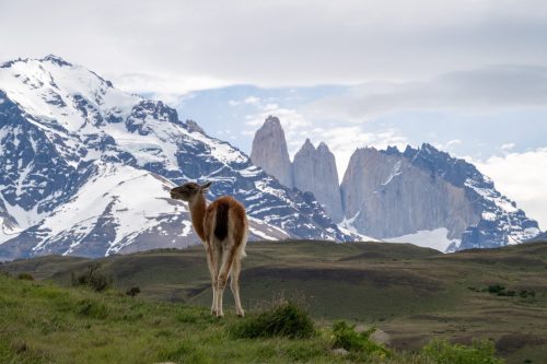 2025 Patagonien 05 Torres del Paine Kristin Sporbeck DSC 0648