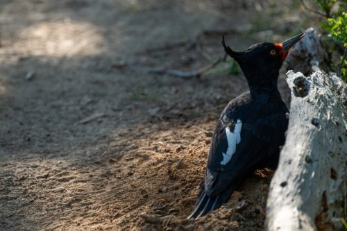 2025 Patagonien 07 El Chalten Kristin Sporbeck DSC 1225
