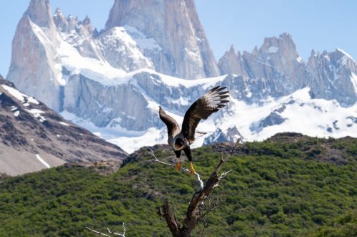 2025 Patagonien 07 El Chalten Kristin Sporbeck DSC 1626