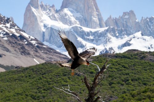 2025 Patagonien 07 El Chalten Kristin Sporbeck DSC 1630