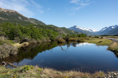 2025 Patagonien 08 Huemel Glacier Kristin Sporbeck DSC 1793