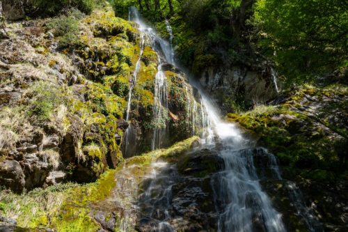 2025 Patagonien 08 Huemel Glacier Kristin Sporbeck DSC 1826