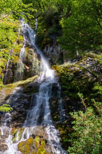 2025 Patagonien 08 Huemel Glacier Kristin Sporbeck DSC 1834