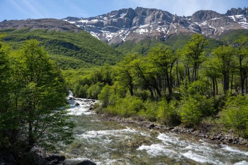 2025 Patagonien 08 Huemel Glacier Kristin Sporbeck DSC 1844