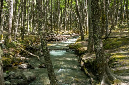 2025 Patagonien 08 Huemel Glacier Kristin Sporbeck DSC 1845