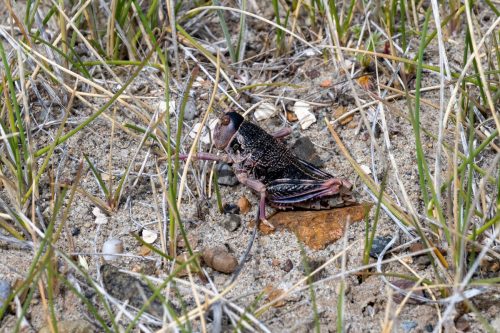 2025 Patagonien 09 Perito Moreno Kristin Sporbeck DSC 1971