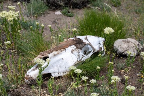 2025 Patagonien 09 Perito Moreno Kristin Sporbeck DSC 1978