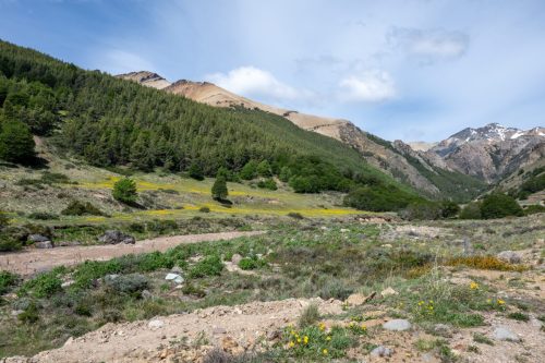 2025 Patagonien 11 Coyhaique und Puyuhuapi Kristin Sporbeck DSC 2188