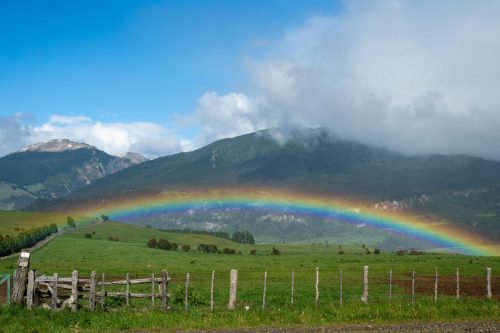 2025 Patagonien 11 Coyhaique und Puyuhuapi Kristin Sporbeck DSC 2193