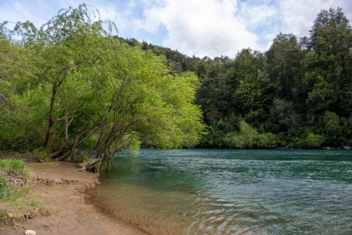 2025 Patagonien 12 Queulat National Park und Futaleufu Kristin Sporbeck DSC 2436