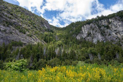 2025 Patagonien 13 Futaleufu National Park Kristin Sporbeck DSC 2446
