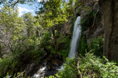 2025 Patagonien 15 Los Alerces National Park Kristin Sporbeck DSC 2690