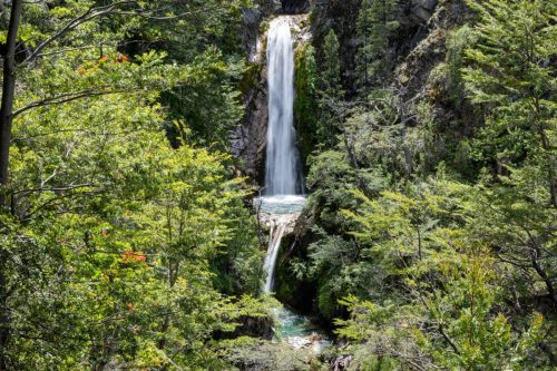 2025 Patagonien 15 Los Alerces National Park Kristin Sporbeck DSC 2724