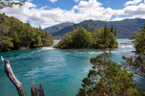 2025 Patagonien 15 Los Alerces National Park Kristin Sporbeck DSC 2745