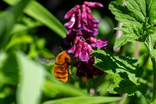 2025 Patagonien 15 Los Alerces National Park Kristin Sporbeck DSC 2760