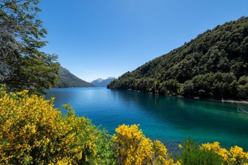 2025 Patagonien 16 Bariloche Kristin Sporbeck DSC 2830