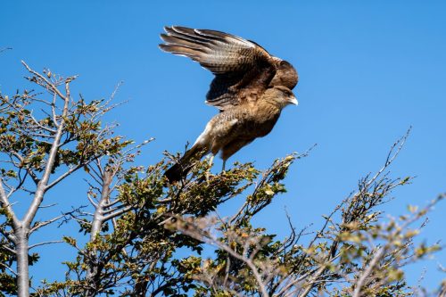 2025 Patagonien 16 Bariloche Kristin Sporbeck DSC 2887