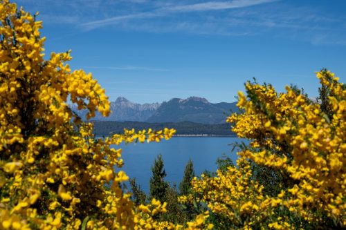 2025 Patagonien 17 Petrohue Kristin Sporbeck DSC 2926