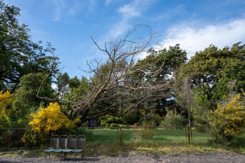 2025 Patagonien 17 Petrohue Kristin Sporbeck DSC 2999