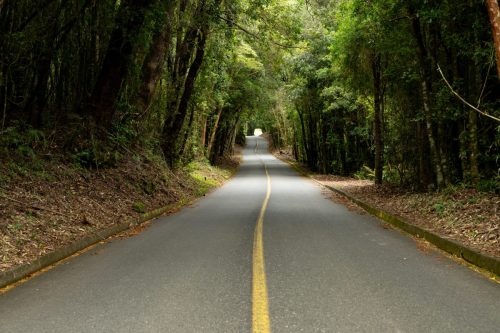 2025 Patagonien 18 Volcano Osorno Kristin Sporbeck DSC 3083