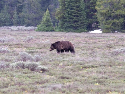 2025 USA Grand Teton Kristin Sporbeck DSC 1884