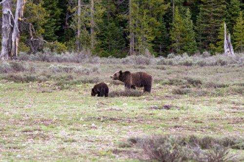 2025 USA Grand Teton Kristin Sporbeck DSC 2235
