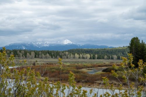2025 USA Grand Teton Kristin Sporbeck DSC 3469