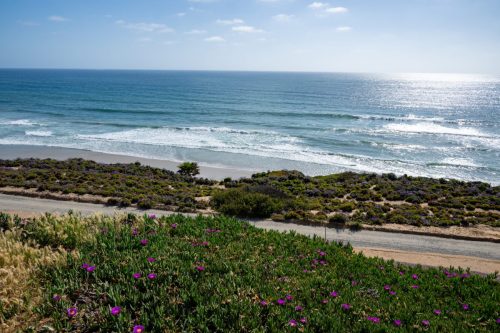 2025 USA San Diego Kristin Sporbeck DSC 1576
