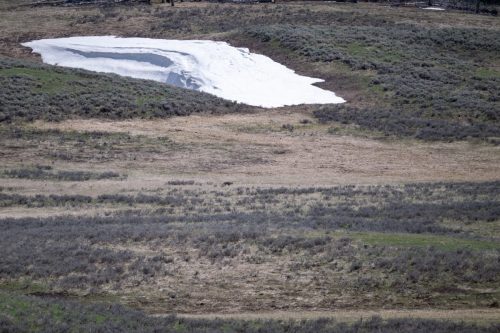 2025 USA Yellowstone Kristin Sporbeck DSC 3823 orig