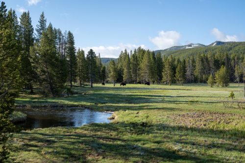 2025 USA Yellowstone Kristin Sporbeck DSC 4006