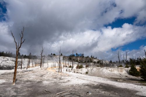 2025 USA Yellowstone Kristin Sporbeck DSC 4118