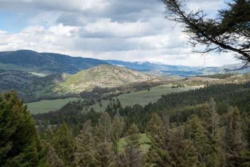 2025 USA Yellowstone Kristin Sporbeck DSC 4660