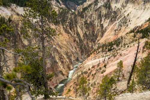 2025 USA Yellowstone Kristin Sporbeck DSC 5223