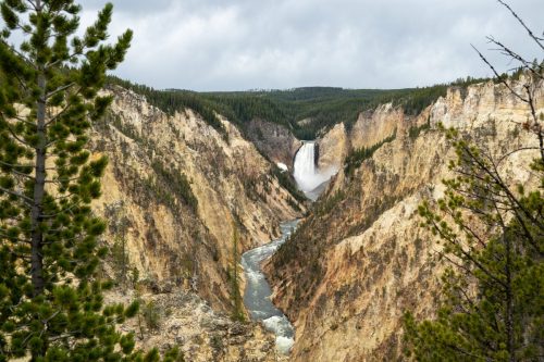 2025 USA Yellowstone Kristin Sporbeck DSC 5287