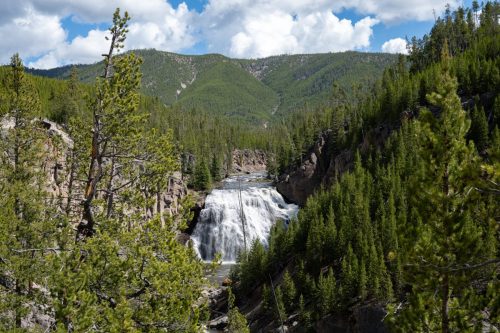 2025 USA Yellowstone Kristin Sporbeck DSC 6411