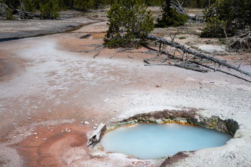2025 USA Yellowstone Kristin Sporbeck DSC 6607