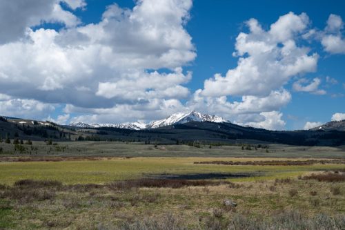2025 USA Yellowstone Kristin Sporbeck DSC 6692