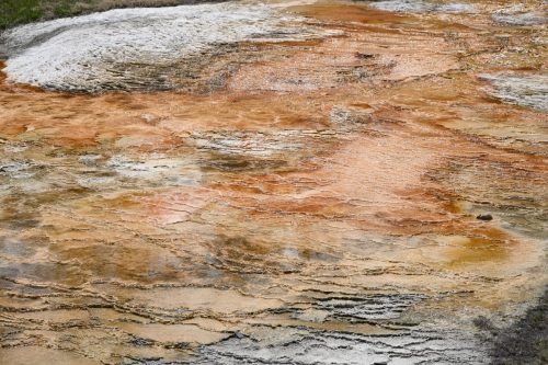 2025 USA Yellowstone Kristin Sporbeck DSC 6711