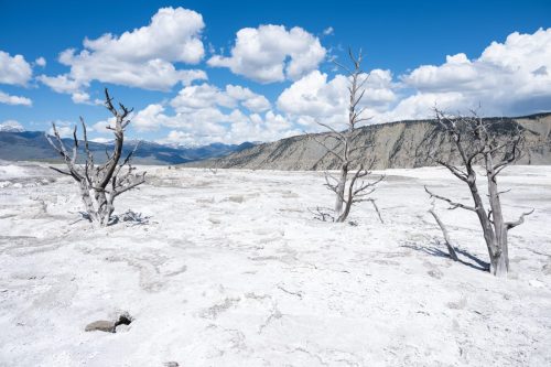 2025 USA Yellowstone Kristin Sporbeck DSC 6720