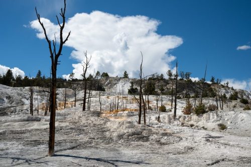 2025 USA Yellowstone Kristin Sporbeck DSC 6740