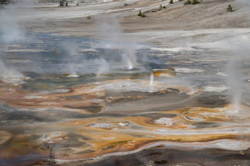 2025 USA Yellowstone Kristin Sporbeck DSC 6921